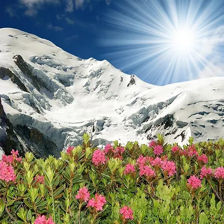 Le Toupidek Chamonix